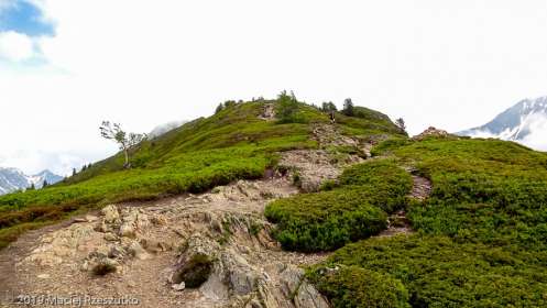 2019-06-20 · 11:32 · Stage Trail Découverte