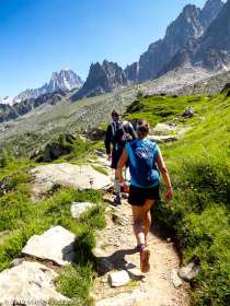 2019-08-03 · 12:01 · Stage Trail Découverte