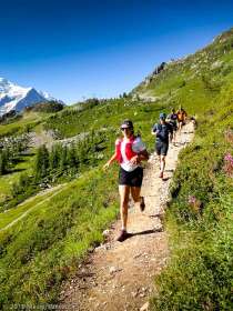 2019-08-11 · 10:28 · Stage Trail Découverte
