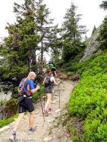 2021-06-20 · 08:50 · Stage Trail Initiation