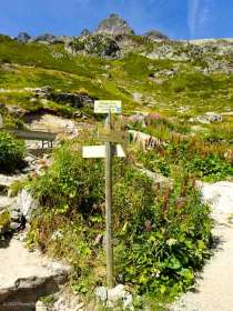 2022-08-12 · 12:51 · Mont Buet bivouac