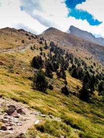 Pic Joffre · Pyrénées, Pyrénées-Orientales, Massif du Canigou, FR · GPS 42°31'54.97'' N 2°27'10.19'' E · Altitude 2323m
