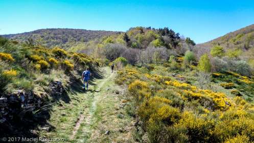 Parc National des Cévennes · Cévennes, Gard, FR · GPS 44°5'45.89'' N 3°26'33.84'' E · Altitude 1107m