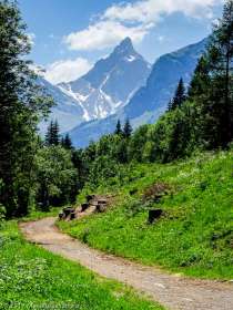 Plaine Joux · Alpes, Préalpes de Savoie, Massif du Giffre, FR · GPS 46°0'55.84'' N 6°39'8.43'' E · Altitude 1304m