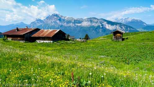 Les Tronchets · Alpes, Préalpes de Savoie, Massif du Giffre, FR · GPS 46°2'18.97'' N 6°39'31.77'' E · Altitude 1504m