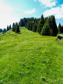 Les Mouilles · Alpes, Préalpes de Savoie, Massif du Giffre, FR · GPS 46°2'45.35'' N 6°39'47.64'' E · Altitude 1595.6m
