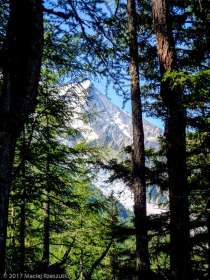 Grands Bois · Alpes, Massif du Mont-Blanc, Vallée de Chamonix, FR · GPS 45°54'8.06'' N 6°52'32.28'' E · Altitude 1829m