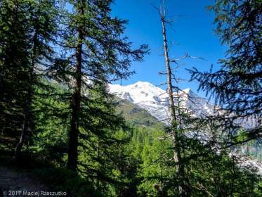 Grands Bois · Alpes, Massif du Mont-Blanc, Vallée de Chamonix, FR · GPS 45°54'7.27'' N 6°52'34.14'' E · Altitude 1851m
