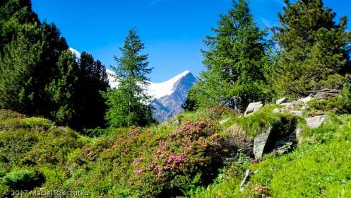 Chalet des Pyramides · Alpes, Massif du Mont-Blanc, Vallée de Chamonix, FR · GPS 45°53'14.35'' N 6°51'5.48'' E · Altitude 1946m