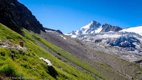 Sentier d’accès au Refuge Albert I · Alpes, Massif du Mont-Blanc, Vallée de Chamonix, FR · GPS 46°0'13.49'' N 6°58'35.47'' E · Altitude 2357m