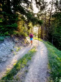 2017-07-08 · 06:25 · Trail Verbier St Bernard X-Alpine