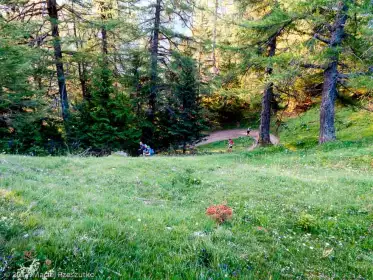 2017-07-08 · 06:25 · Trail Verbier St Bernard X-Alpine