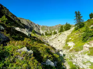 2017-07-08 · 07:09 · Trail Verbier St Bernard X-Alpine