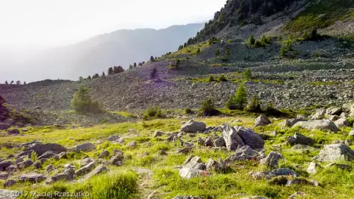 2017-07-08 · 07:15 · Trail Verbier St Bernard X-Alpine