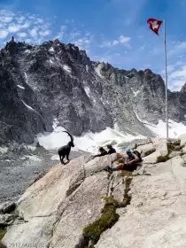 2017-07-08 · 12:10 · Trail Verbier St Bernard X-Alpine