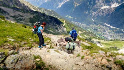 Sentier du Col du Brévent · Alpes, Aiguilles Rouges, Vallée de Chamonix, FR · GPS 45°56'26.06'' N 6°50'41.20'' E · Altitude 2294m