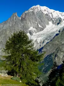 2017-08-05 · 07:57 · Courmayeur-Champex-Vallorcine