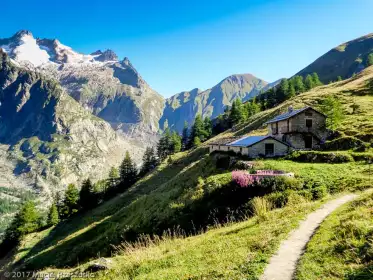 2017-08-05 · 09:32 · Courmayeur-Champex-Vallorcine