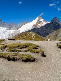 Grand Col Ferret · Alpes, Massif du Mont-Blanc, IT · GPS 45°53'20.41'' N 7°4'40.10'' E · Altitude 2537m