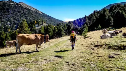 2017-10-06 · 12:59 · 100 miles du Sud de France