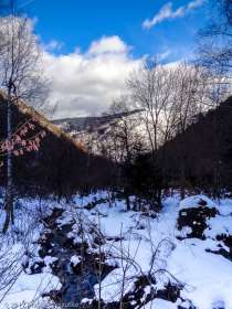 Bois des Artigues · Pyrénées, Pyrénées ariégeoises, Vallée de Mérens, FR · GPS 42°39'6.98'' N 1°49'11.47'' E · Altitude 1234m