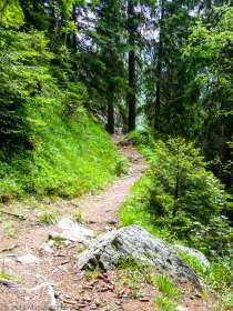 Sentier des Gardes · Alpes, Préalpes de Savoie, Aiguilles Rouges, FR · GPS 45°55'51.35'' N 6°51'12.67'' E · Altitude 1581m