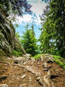 Sentier des Gardes · Alpes, Préalpes de Savoie, Aiguilles Rouges, FR · GPS 45°55'49.91'' N 6°51'12.56'' E · Altitude 1649m