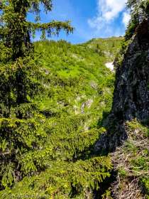Parc Merlet · Alpes, Préalpes de Savoie, Aiguilles Rouges, FR · GPS 45°54'40.90'' N 6°49'15.19'' E · Altitude 1691m