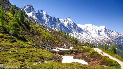 Signal Forbes · Alpes, Massif du Mont-Blanc, Vallée de Chamonix, FR · GPS 45°55'32.52'' N 6°54'24.38'' E · Altitude 2117m