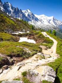 Signal Forbes · Alpes, Massif du Mont-Blanc, Vallée de Chamonix, FR · GPS 45°55'33.44'' N 6°54'25.41'' E · Altitude 2118m