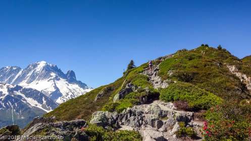 Marathon du Mont-Blanc · Alpes, Massif du Mont-Blanc, Vallée de Chamonix, FR · GPS 46°1'24.33'' N 6°56'44.59'' E · Altitude 2056m