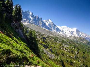 Plan de l'Aiguille · Alpes, Massif du Mont-Blanc, Vallée de Chamonix, FR · GPS 45°55'23.67'' N 6°54'19.47'' E · Altitude 2032m