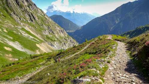 Col de Balme · Alpes, Massif du Mont-Blanc, Vallée de Chamonix, FR · GPS 46°1'41.70'' N 6°58'31.43'' E · Altitude 2069m