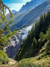 Montée à la Jonction · Alpes, Massif du Mont-Blanc, Vallée de Chamonix, FR · GPS 45°53'21.02'' N 6°50'56.69'' E · Altitude 1781m