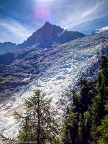 Montée à la Jonction · Alpes, Massif du Mont-Blanc, Vallée de Chamonix, FR · GPS 45°53'19.42'' N 6°51'9.15'' E · Altitude 1824m