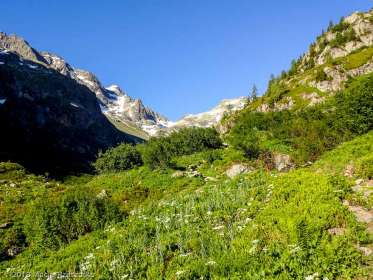 Vallon de Bérard · Alpes, Préalpes de Savoie, Aiguilles Rouges, FR · GPS 46°0'39.43'' N 6°53'2.29'' E · Altitude 1693m