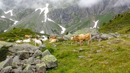 Chalets de Loriaz · Alpes, Préalpes de Savoie, Aiguilles Rouges, FR · GPS 46°2'18.79'' N 6°54'46.81'' E · Altitude 2012m
