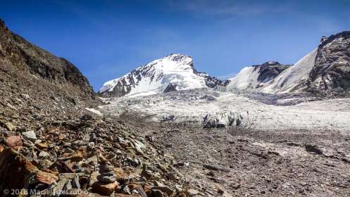 Festigletscher · Alpes, Alpes valaisannes, Massif des Mischabels, CH · GPS 46°6'4.55'' N 7°49'26.05'' E · Altitude 3108m