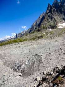 Moraine gauche du Glacier des Pèlerins · Alpes, Massif du Mont-Blanc, Vallée de Chamonix, FR · GPS 45°53'34.92'' N 6°52'55.29'' E · Altitude 2358m