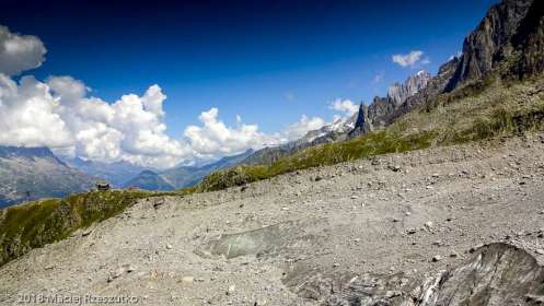 Moraine gauche du Glacier des Pèlerins · Alpes, Massif du Mont-Blanc, Vallée de Chamonix, FR · GPS 45°53'34.81'' N 6°52'55.62'' E · Altitude 2360m