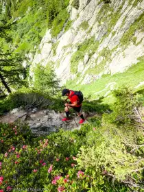2019-07-06 · 10:28 · Stage Trail Découverte