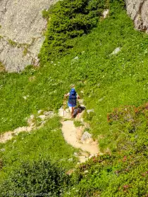 2019-07-06 · 10:29 · Stage Trail Découverte