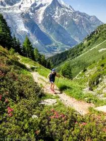 2019-07-06 · 10:34 · Stage Trail Découverte