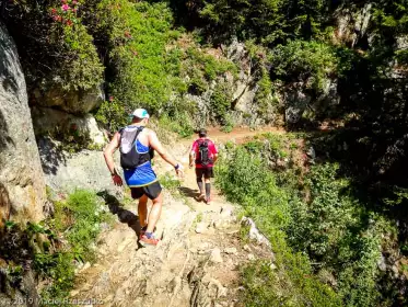 2019-07-06 · 11:16 · Stage Trail Découverte