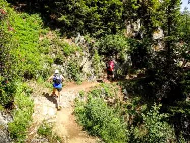 2019-07-06 · 11:16 · Stage Trail Découverte