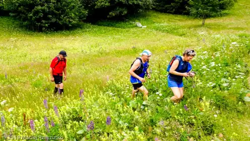 2019-07-06 · 14:49 · Stage Trail Découverte