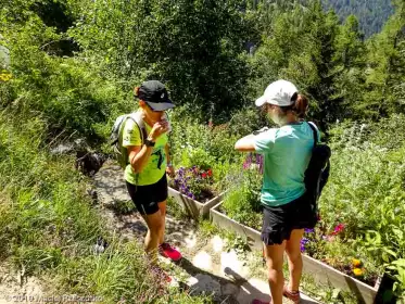 2019-07-19 · 11:55 · Stage Trail Découverte