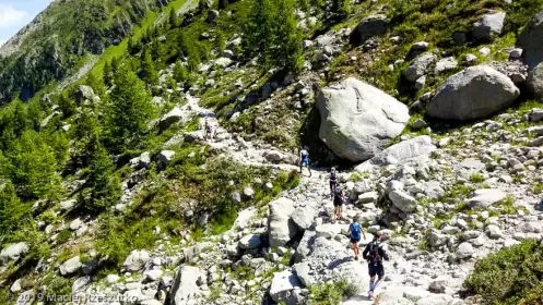 2019-08-03 · 12:30 · Stage Trail Découverte