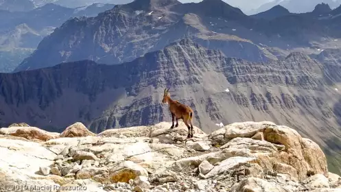 2019-08-24 · 15:30 · Petit Mont-Blanc