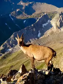 2019-08-25 · 07:34 · Petit Mont-Blanc